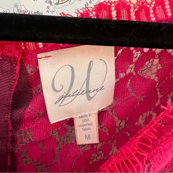 NWT! Anthropologie Weston Wear Pink Sheer Lace 3/4 Sleeve Blouse Size M - Picture 6 of 13